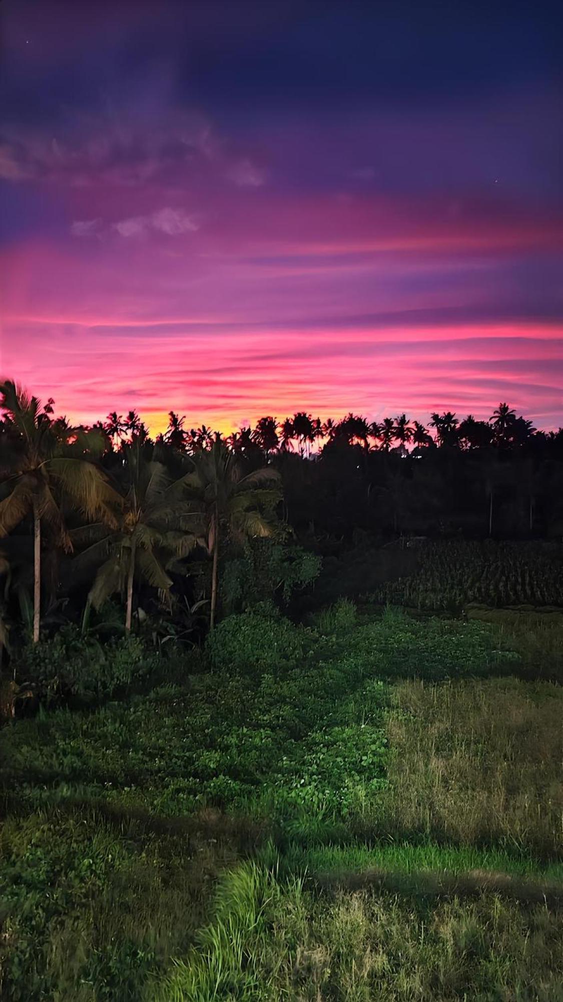Wadari Retreat Villa Ubud Екстер'єр фото